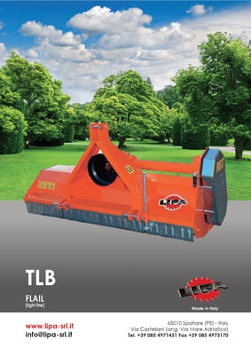 TLB